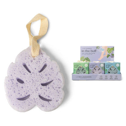 Super Sudsy Soap Sponge